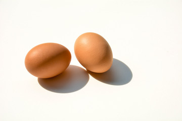 egg and a shadow on white background
