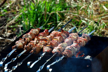 Juicy barbecue is prepared on the grill on a summer day.