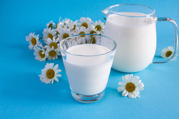 Milk in the glass and jug on the  blue background