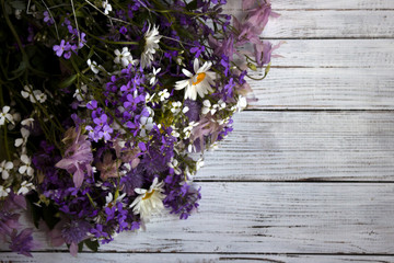 Many different types of flowers: purple and violet phlox, white daisy, pink bells on a white wooden background. Place for text