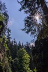 Kirnitzschtal at the Saxon Switzerland