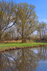 Fototapeta na wymiar springtime view of trees reflecting in the lake
