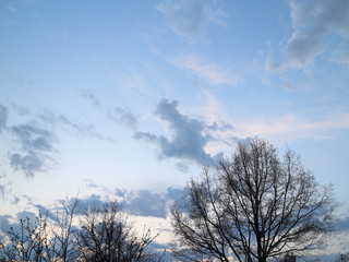 Fototapeta na wymiar cumulus clouds in the evening sky