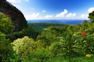 Beautiful views of Maui North coast seen from famous winding Road to Hana. Hawaii