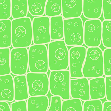 Macro photo of plant cells structure, eco pattern