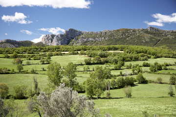 Prepirineo catalan,
