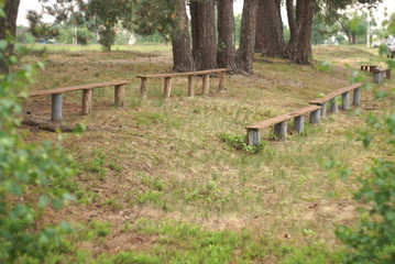 old benches in the park