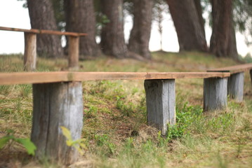 old benches in the park