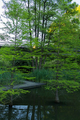 water parapet grass green trees