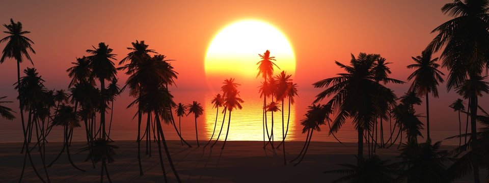 beach at sunset, silhouettes of palm trees on a tropical beach, palm trees under the setting sun,
3D rendering
