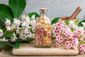 A bottle filled with horse chestnut blossoms and alcohol, to prepare tincture