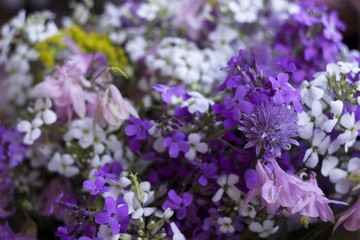 Obraz premium Many different kinds of flowers: purple and violet phlox, white chamomile, bells. Beautiful and delicate floral background