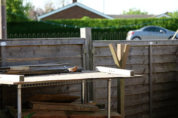Red robin feeding on bird table in uk