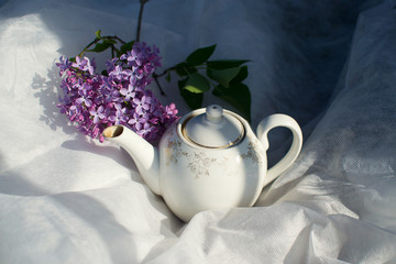 
white teapot for tea in sunlight with lilac flowers