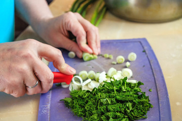 the chef cuts green salad