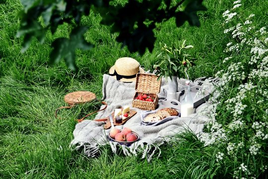 Lovely picnic isolated. Hygge style picnic with food 