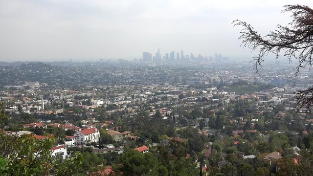 Bird's eye view of Los Angeles from Mount Hollywood. California, USA
