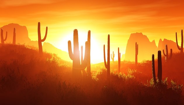desert at sunset, rocky desert arizona with cacti under the setting sun,
3D rendering
