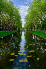 Obraz premium Beautiful park with lake and trees in Dusseldorf, Germany