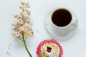 branch of the blossoming chestnut,  lemon cake and a coffee cup on a white background. Top view