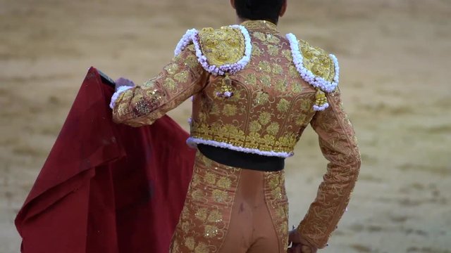 Bullfighter next to the bull in the ring
