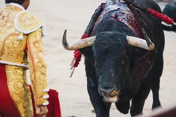 Printed roller blinds Bullfighting Bullfighter next to the bull in the ring