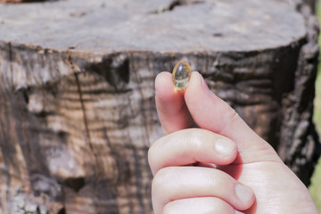  Capsule in hand on the background of wood