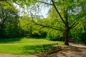 View of Central Park in New York City in spring