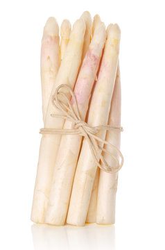 Bundle of fresh white asparagus shoots, upright standing. Blanched sparrow grass. Cultivated Asparagus officinalis. Spring vegetable with thick stems and closed buds. Food photo front view over white.