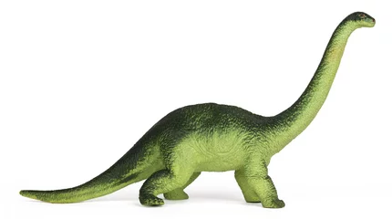 Fotobehang Dinosaurussen Green dinosaur diplodoc plastic toy model isolated on white background  © TheFarAwayKingdom