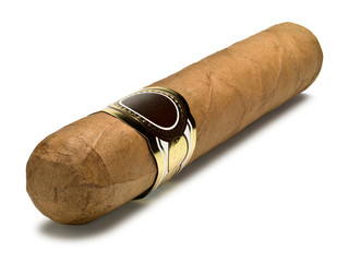 Cigar robusto a closeup a diagonal