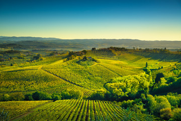 Fototapeta na wymiar Panoramic view of countryside and chianti vineyards from San Gimignano. Tuscany, Italy