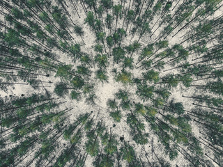 Aerial Photography of a Forest in Winter - vintage look edit