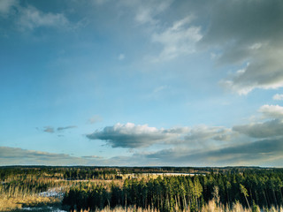 Aerial Photography of a Forest in Winter