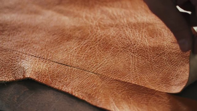 Skinner cuts out the belt detail from the skin of the treated animals.