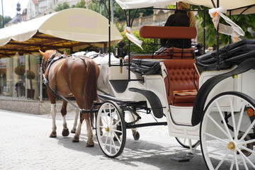 horse drawn carriage attraction on the street of Carlsbad (Karlovy Vary), Czech Republic on a sunny day