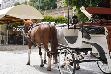 horse drawn carriage attraction on the street of Carlsbad (Karlovy Vary), Czech Republic on a sunny...