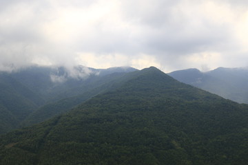 mountains with forrest