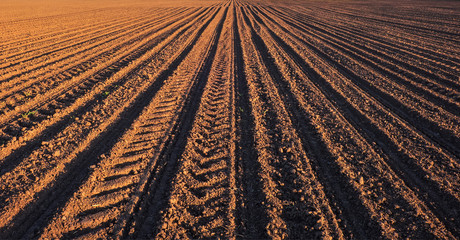 Rows of soil before planting. Furrows row pattern in a plowed field prepared for planting crops in...