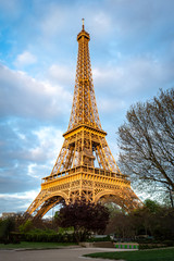 Fototapeta na wymiar Eiffel Tower illuminated by a golden sunlight