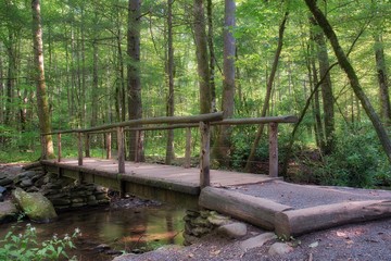 A bridge located on a hiking trail in the Great Smoky Mountains.