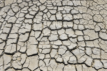 The parched soil