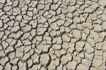 The parched soil