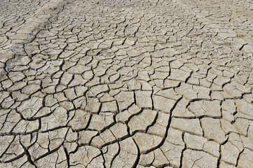 The parched soil