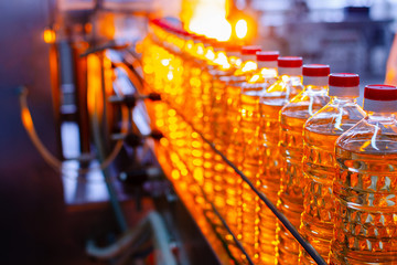 Sunflower oil. Factory line of production and filling of refined oil from sunflower seeds. Factory conveyor of food industry.