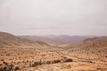 Pan de Azucar National Park, Atacama Desert Chile Chañaral