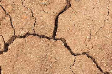 dry land with cracks