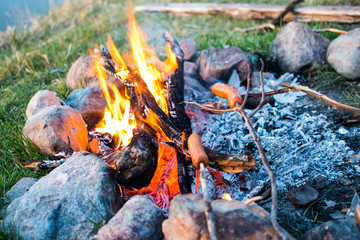 Roasting a Hot Dog on an Open Fire 