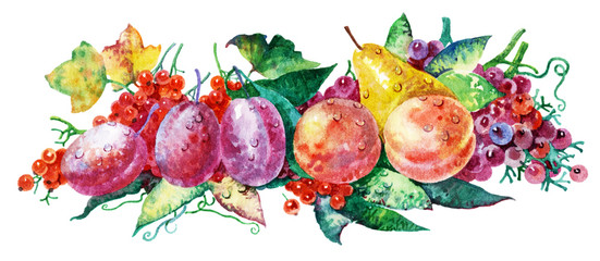 Fruits and berries. Colorful watercolors. Ripe fruit on a white background. Beautiful fruits painted in watercolor.