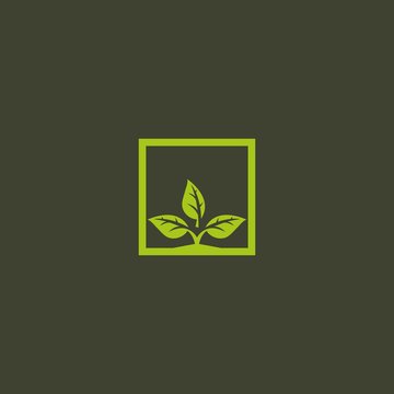 Green leaf logo icon. Shape square leaf nature logo design vector illustration, Simple Modern square with Leaf logo design inspiration